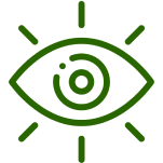 Vision Icon